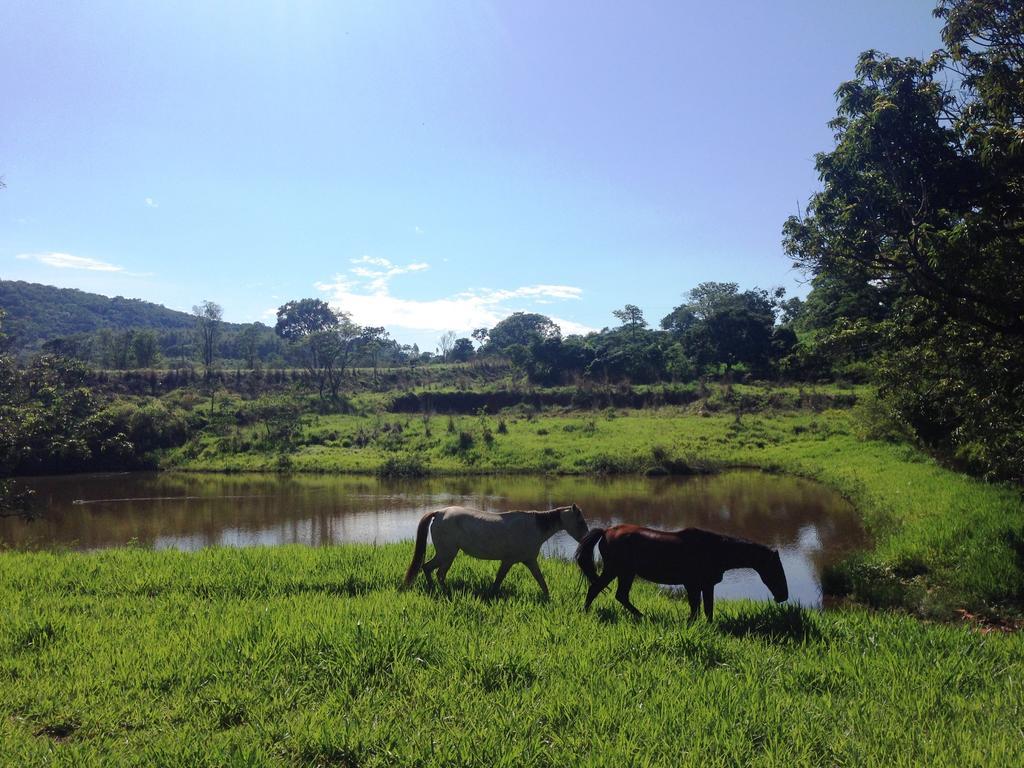 Águas Vivas Hotel Fazenda Pirenópolis Esterno foto