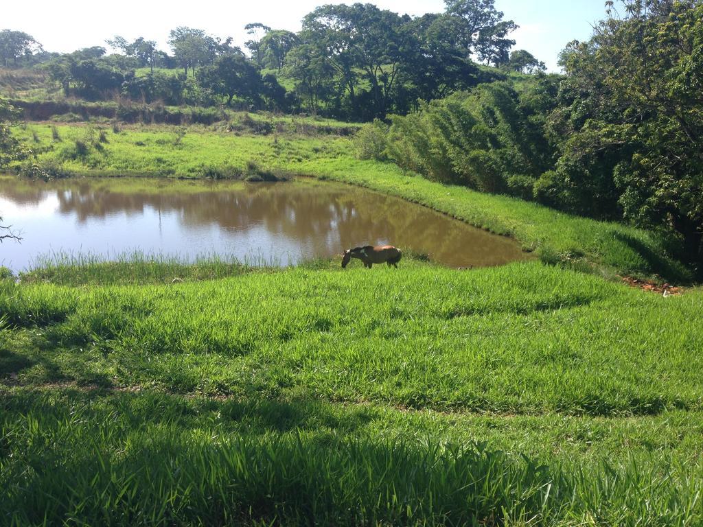Águas Vivas Hotel Fazenda Pirenópolis Esterno foto