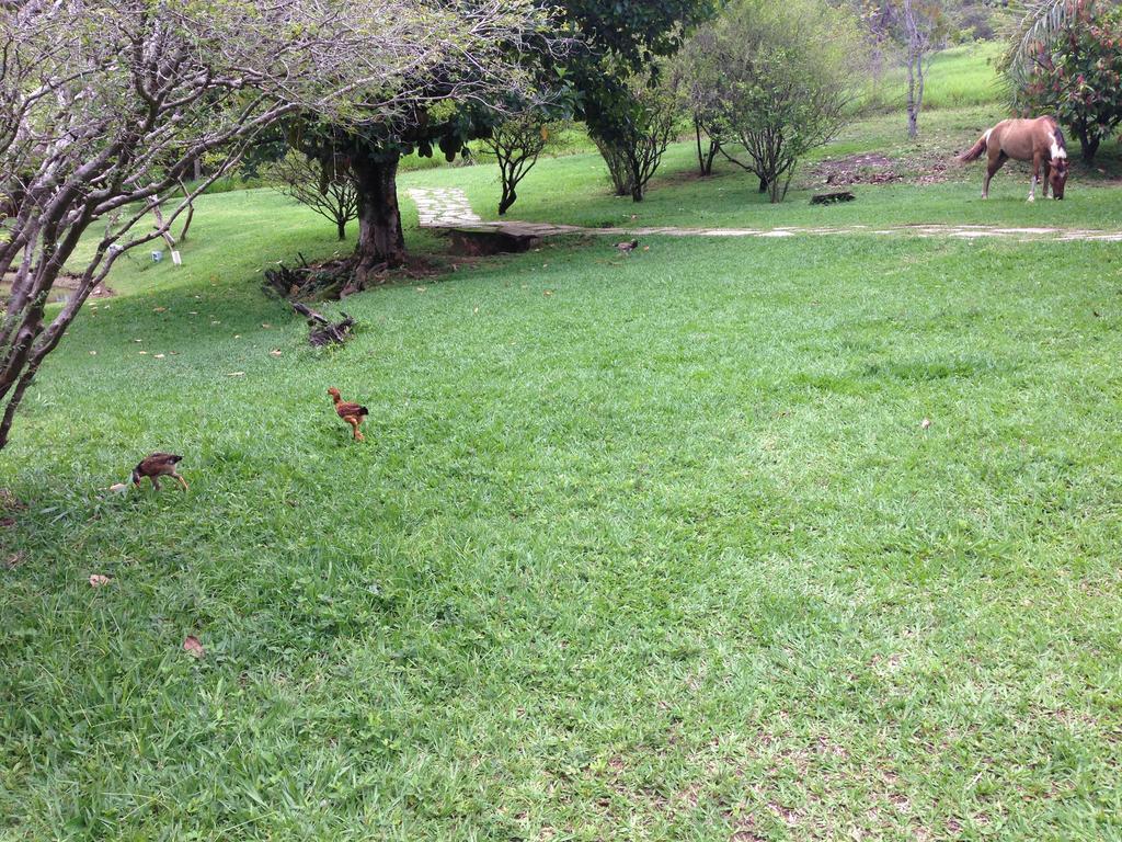 Águas Vivas Hotel Fazenda Pirenópolis Esterno foto