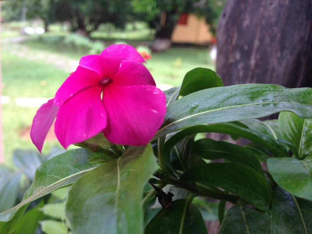 Águas Vivas Hotel Fazenda Pirenópolis Esterno foto