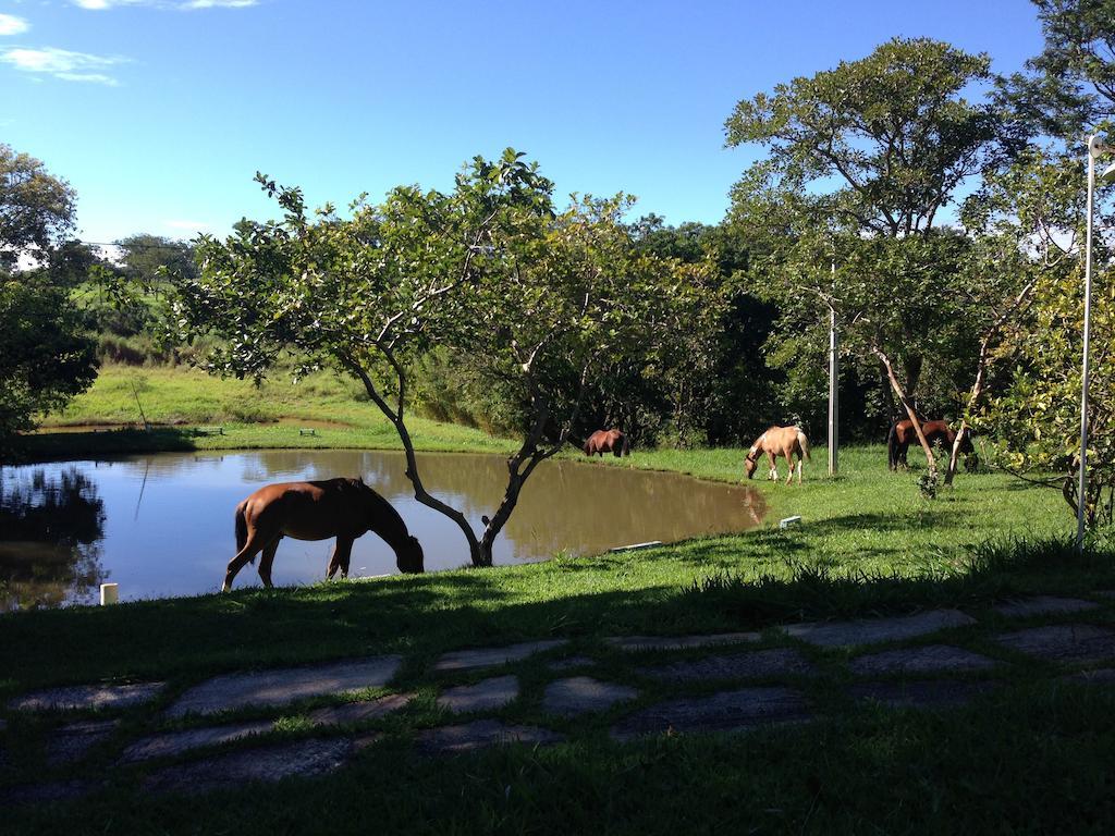 Águas Vivas Hotel Fazenda Pirenópolis Esterno foto